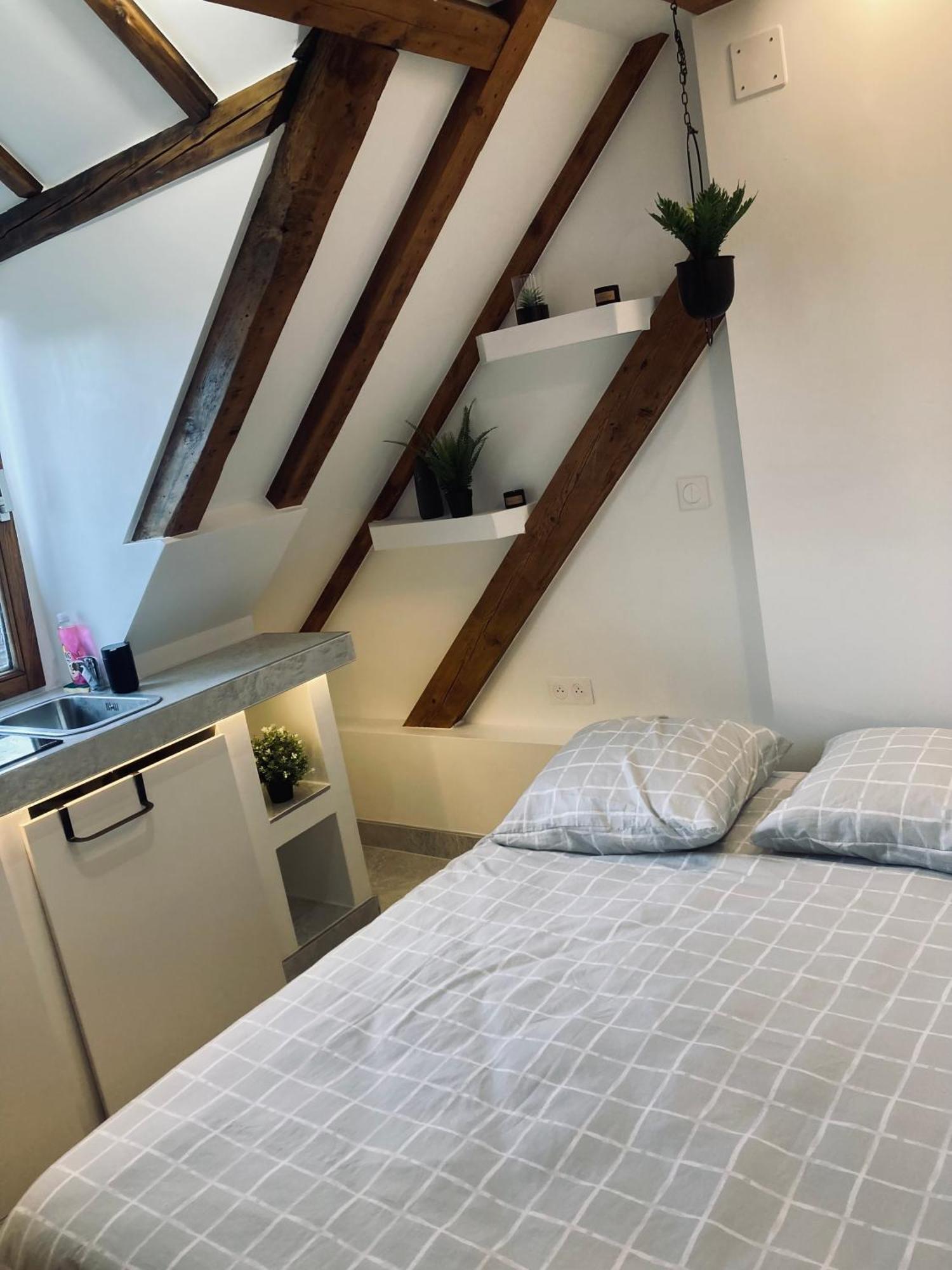 Petit Nid Sympa A Strasbourg Lejlighed Eksteriør billede